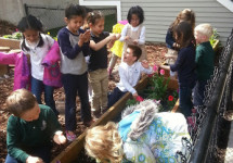 1506 Kindergarten earth day