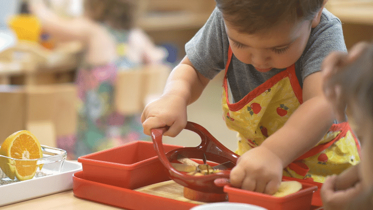 Young boy with brown hair, grey t-shirt, and red and yellow apron uses a red apple corer to push through an apple